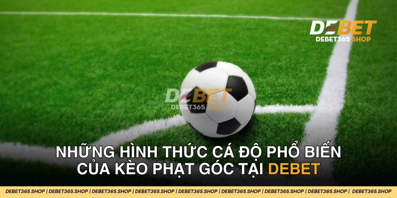 Các hình thức cá độ bóng đá phổ biến của kèo phạt góc